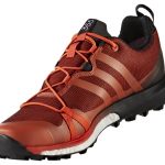 Adidas Terrex Agravic GTX