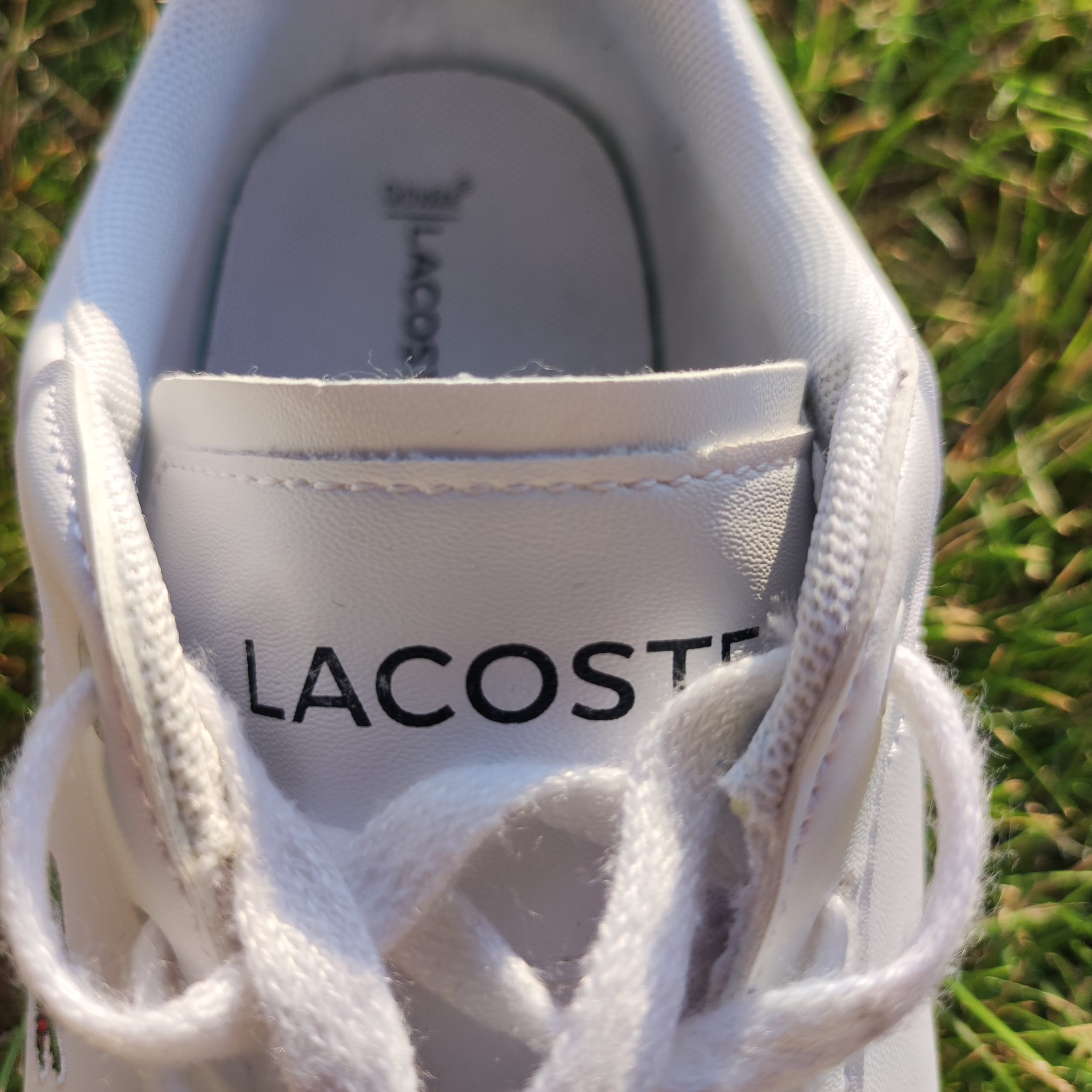Lacoste Hydez shoes