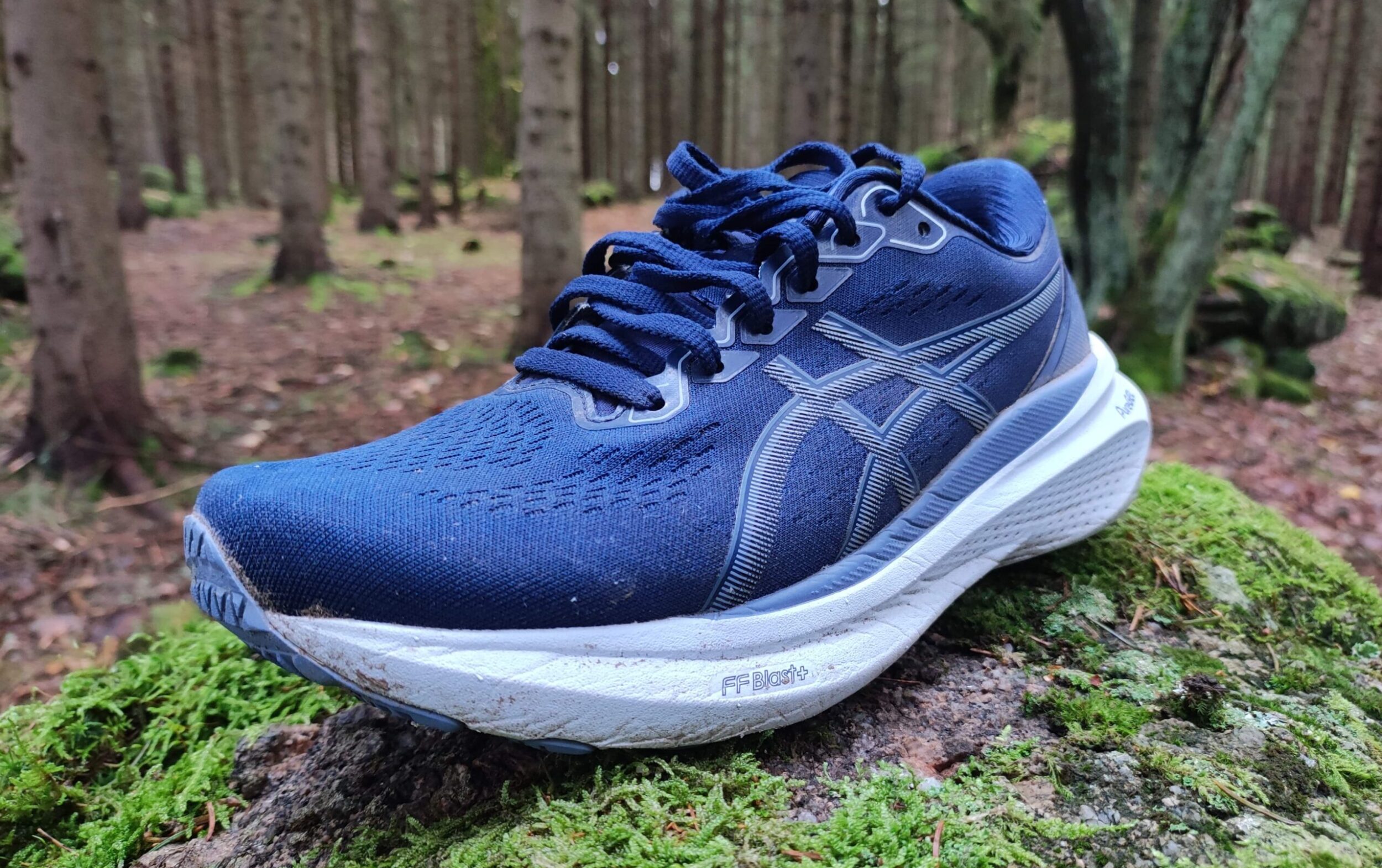 Asics Gel Kayano 30 Review Great for long distance running Runner Expert