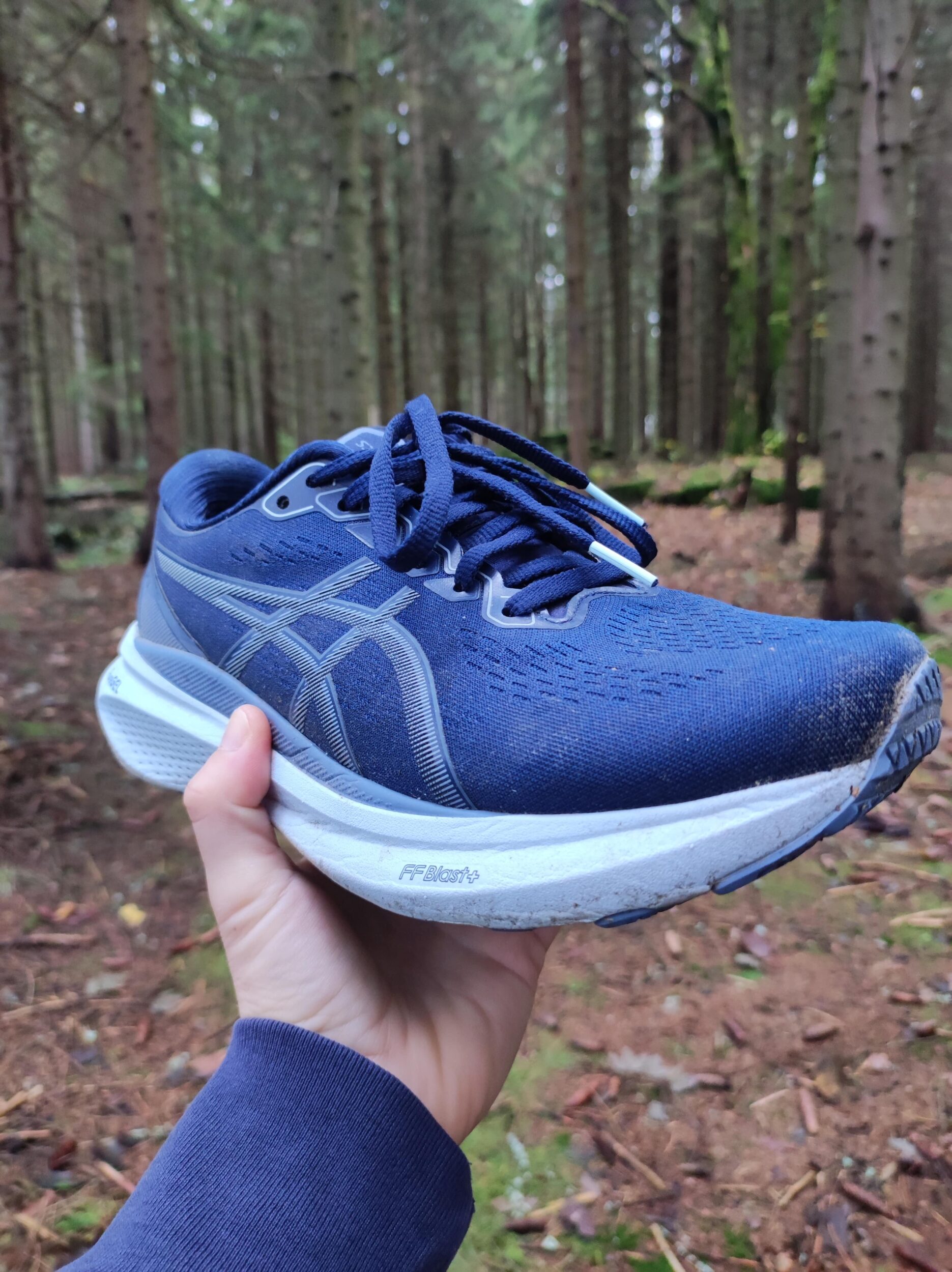 asics gel kayano 30 blue