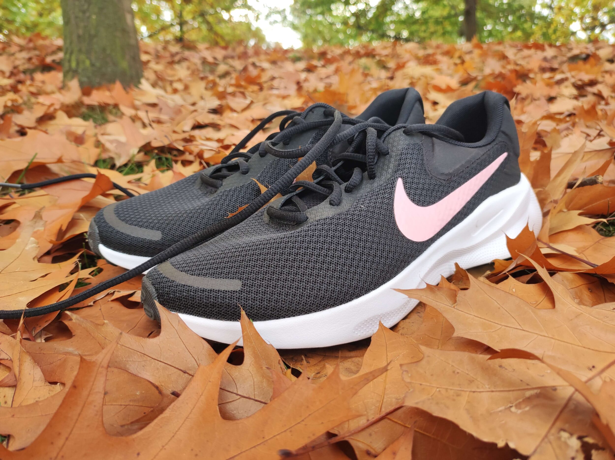 Nike Revolution 7 Review From Runner Expert