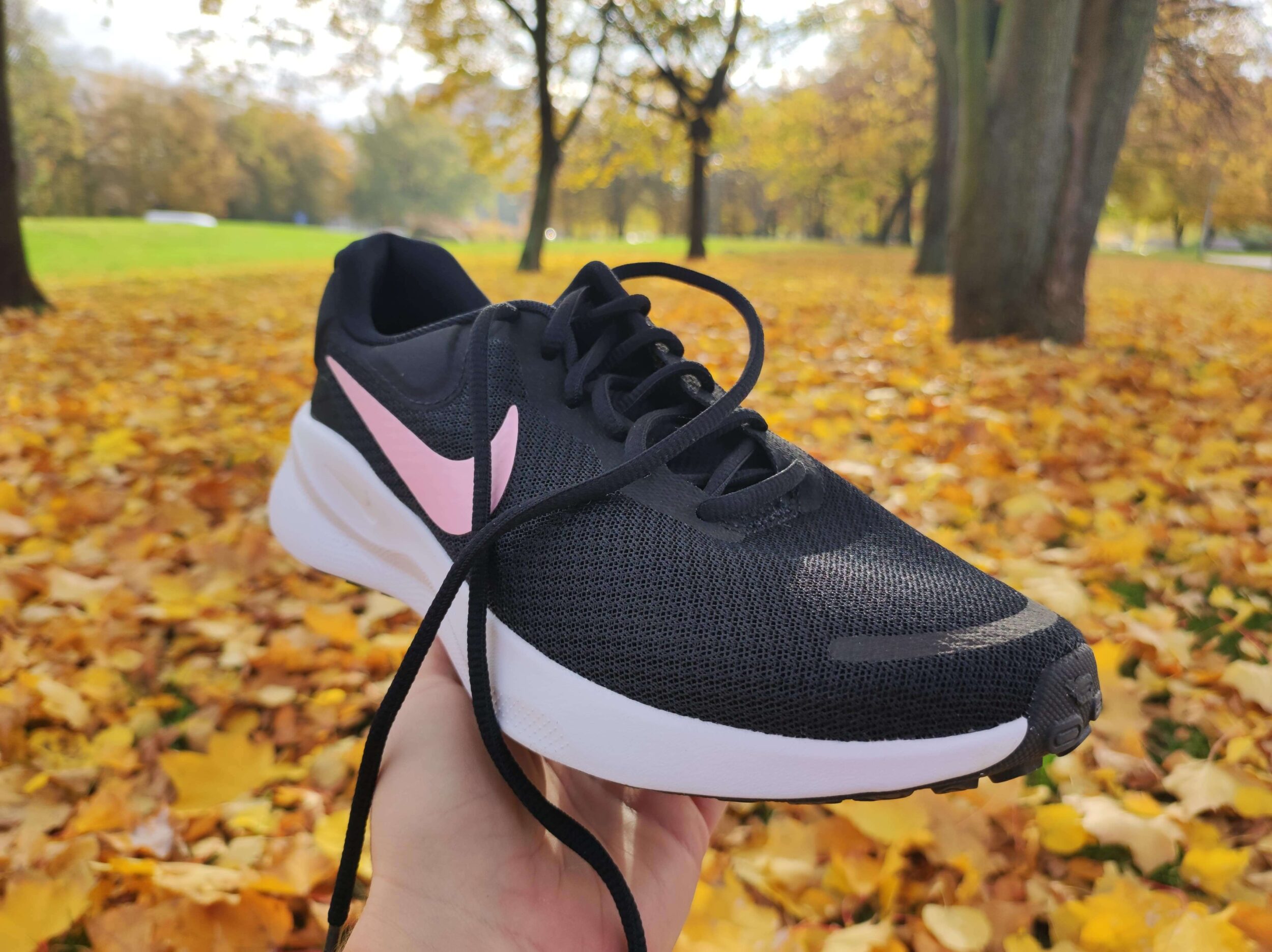 Nike revolution 3 for running review best sale