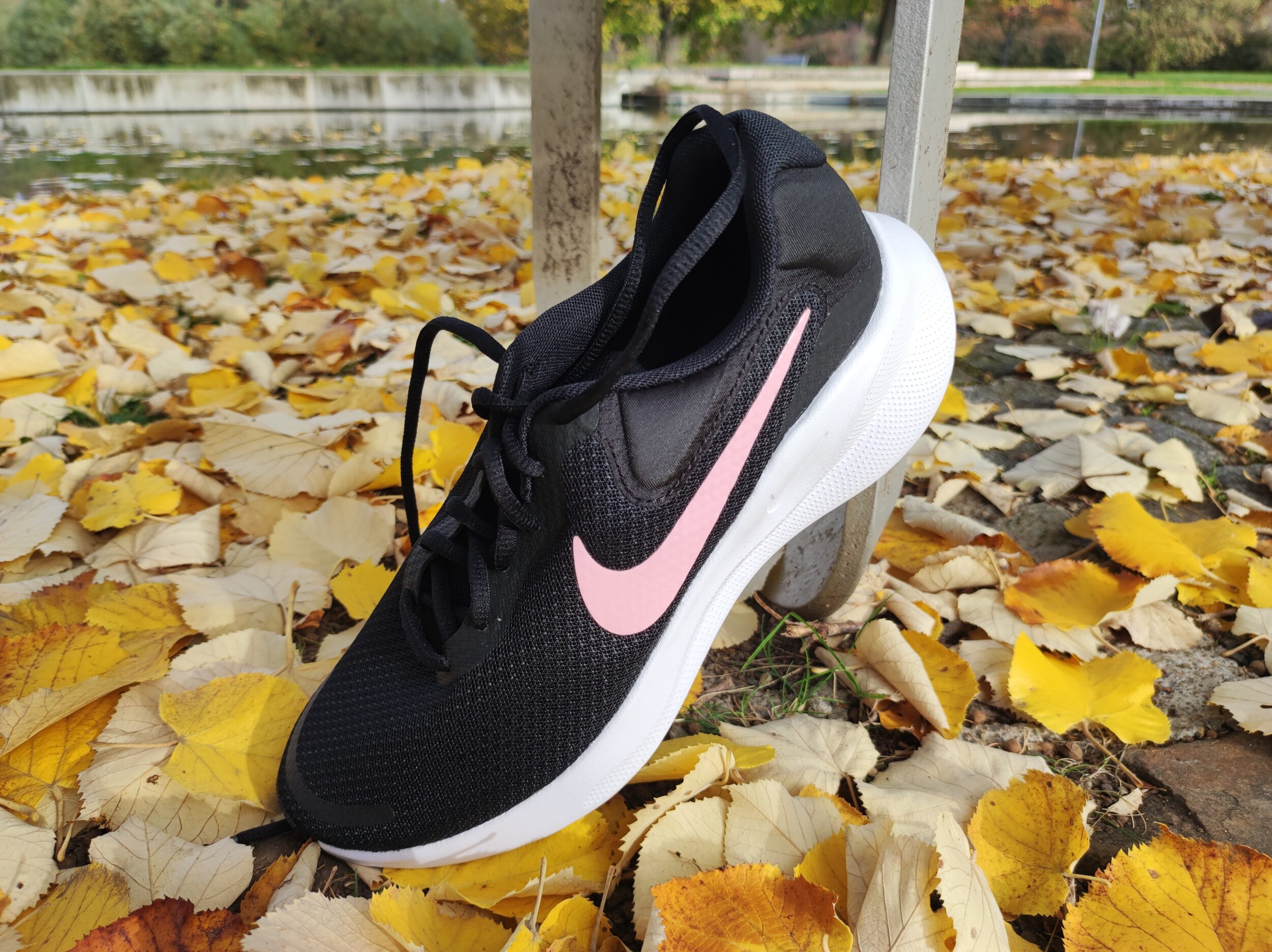 nike revolution 7 review 