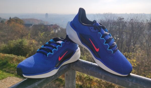 nike pegasus 41 astronomy blue