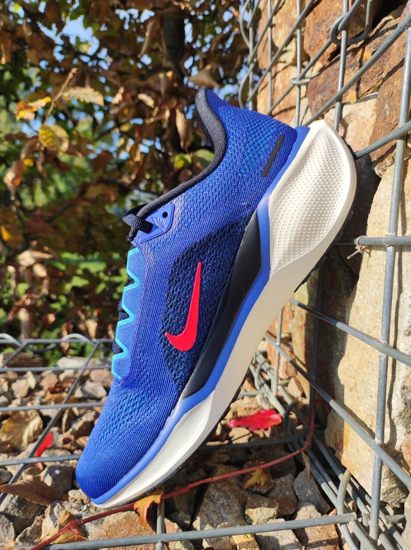 nike pegasus 41 review