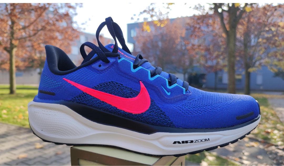 nike pegasus 41 blue